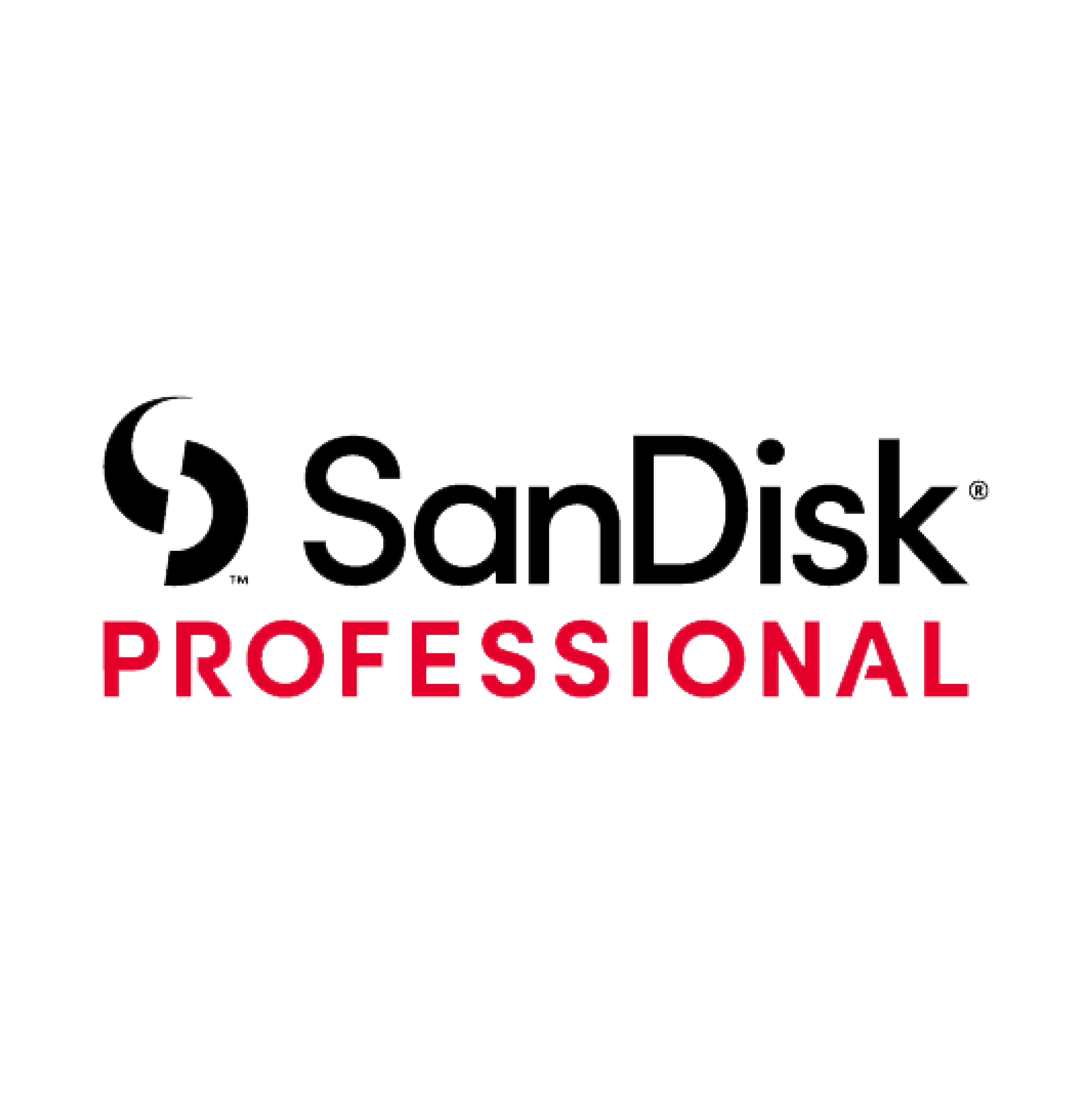 SANDISK PROFESSIONAL